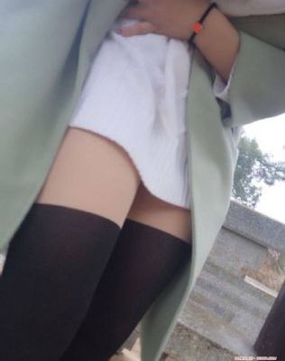 丽枫公棚赛鸽公棚